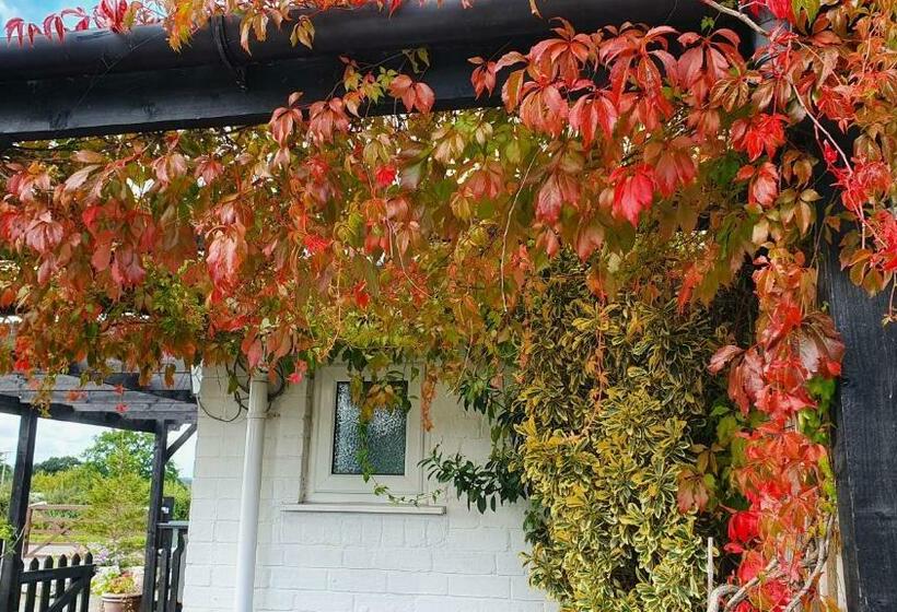 سوئیت با تخت بزرگ, Tafarn Y Waen   Guesthouse