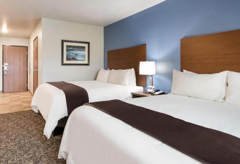 标准间, My Place Hotel Kalispell, Mt