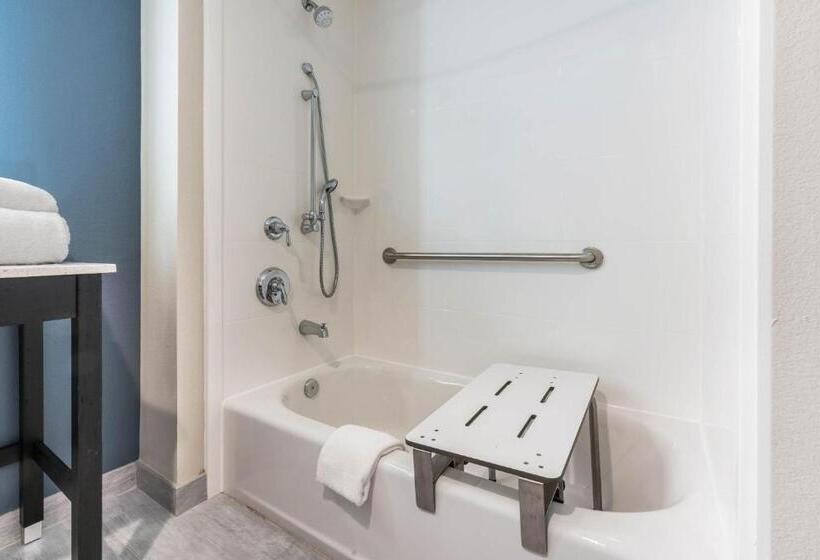 Номер Стандарт Кровать Кинг Адаптированный для Инвалидов, La Quinta Inn And Suites By Wyndham Houston Spring South