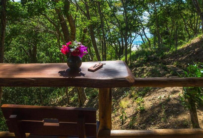 Бунгало Deluxe, Verdad Nicaragua