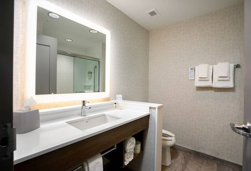 スタンダードルーム, Holiday Inn Express   Lethbridge Southeast, An Ihg