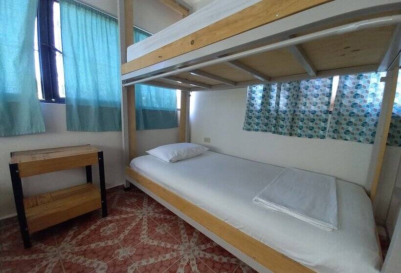 ルームシェアのワンベッド, Bermejo Hostel