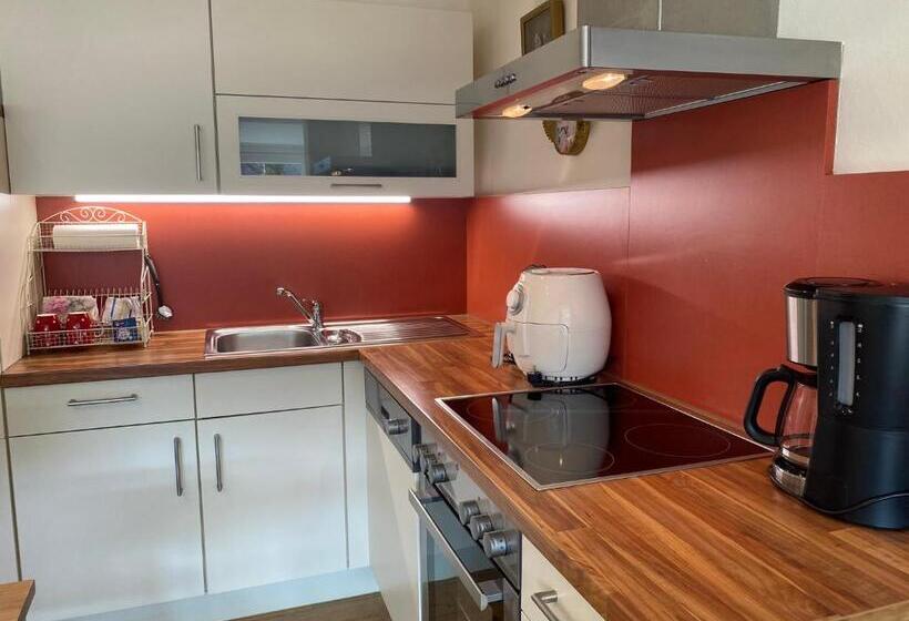 Апартаменты 1 Спальня, Pension Und Ferienwohnung Meixner