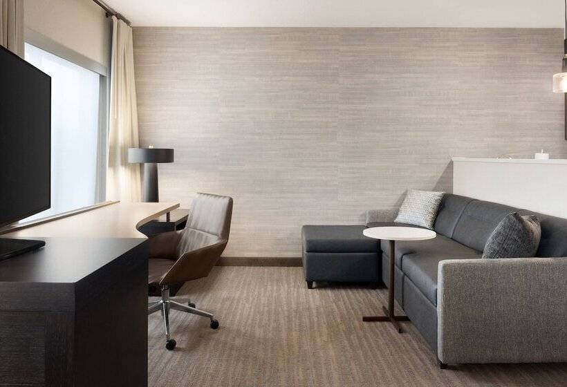 Студия Стандарт Двуспальная Кровать, Residence Inn By Marriott Minneapolis St. Paul/eagan
