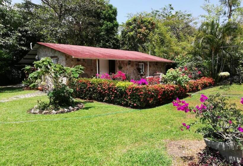 Номер Superior Кровать Кинг, Valle Paradise
