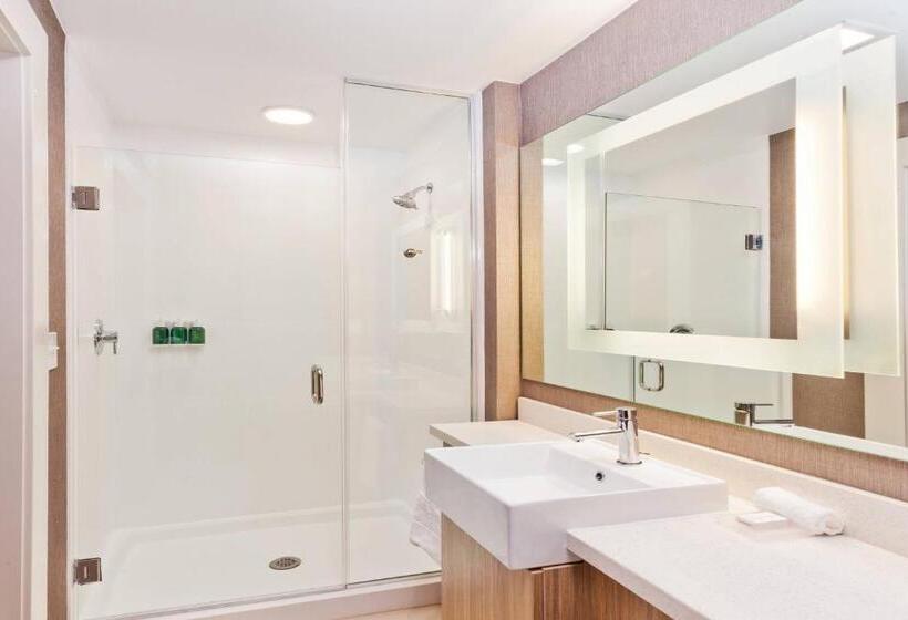 Люкс Кровать Кинг, Springhill Suites By Marriott Montgomery Prattville/millbrook
