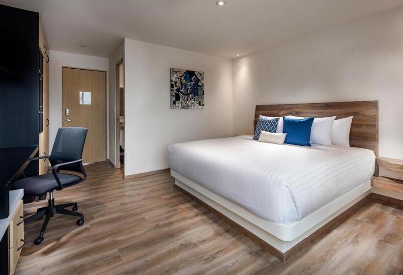 غرفة قياسية مزوَّدة بتراس, Room Hotel & Suites