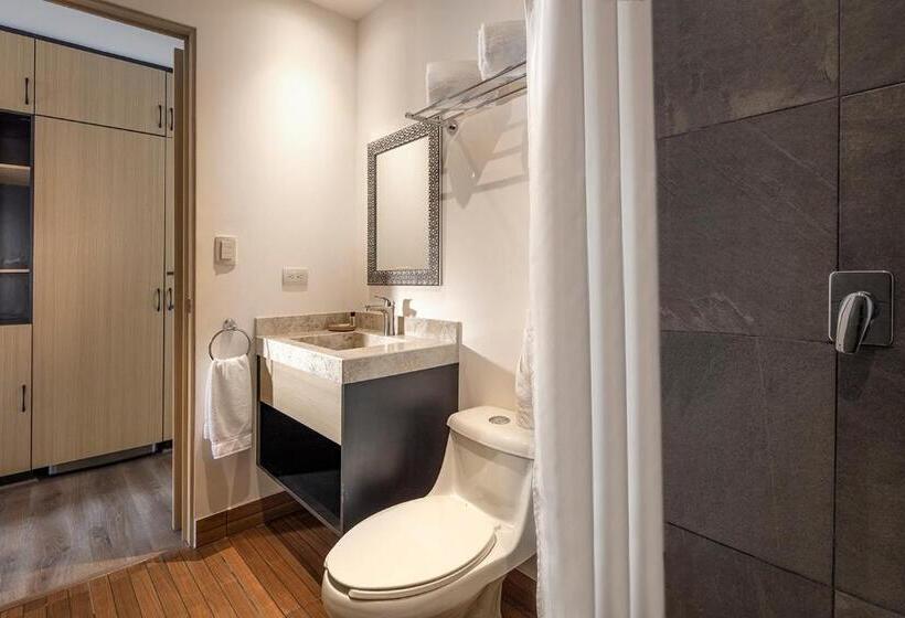 غرفة قياسية مزوَّدة بتراس, Room Hotel & Suites