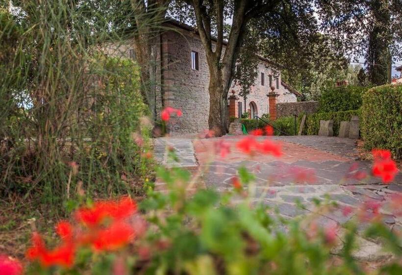 Студия Стандарт, Villa Norcenni Apart