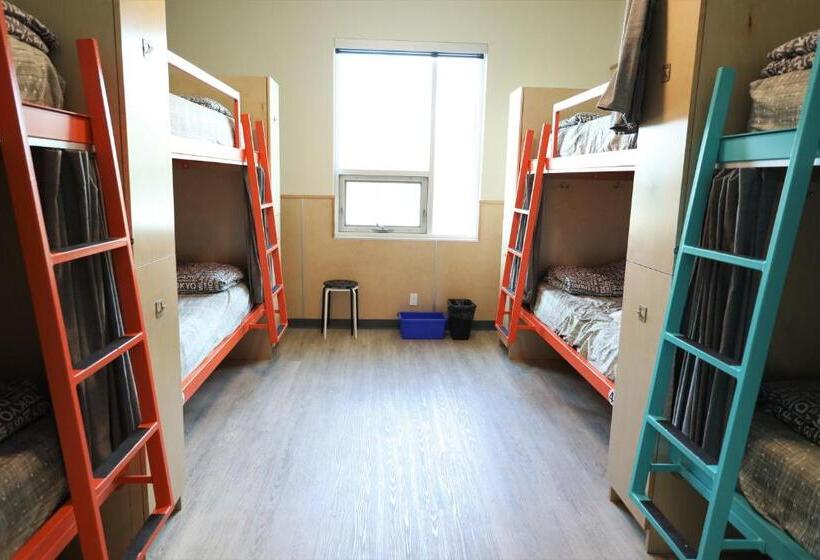 ルームシェアのワンベッド, Canmore Downtown Hostel