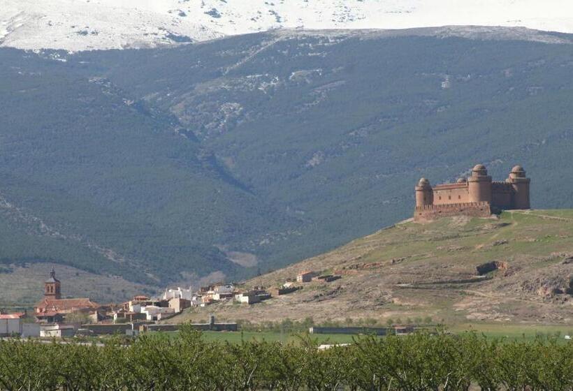Номер Стандарт с Террасой, Labella Hostal Restaurante