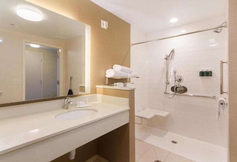 Стандартный Номер Кровать Кинг, Fairfield Inn & Suites By Marriott Buffalo Amherst/university
