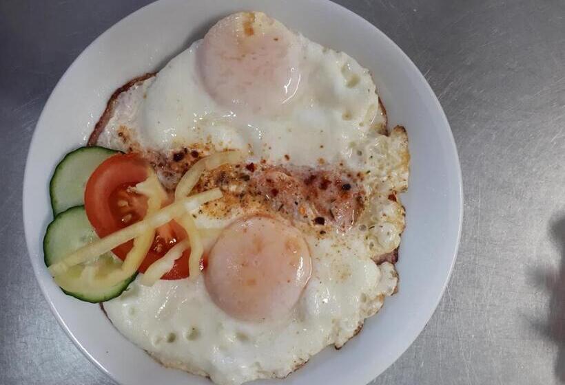 غرفة قياسية, Penzion Planicka