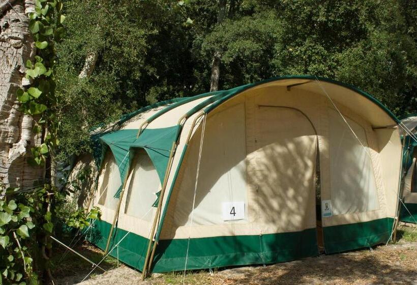 四人标准间, Progress Outdoor Surf Hostel