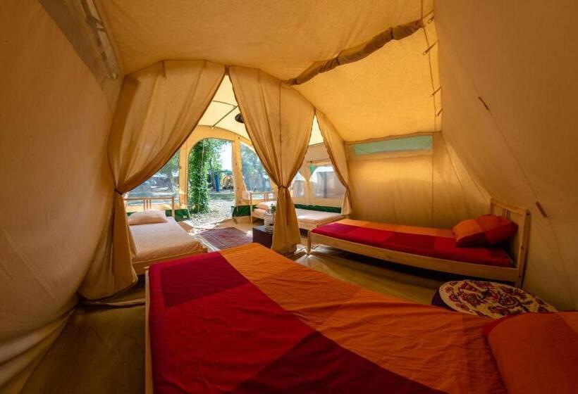 共用房间的床, Progress Outdoor Surf Hostel