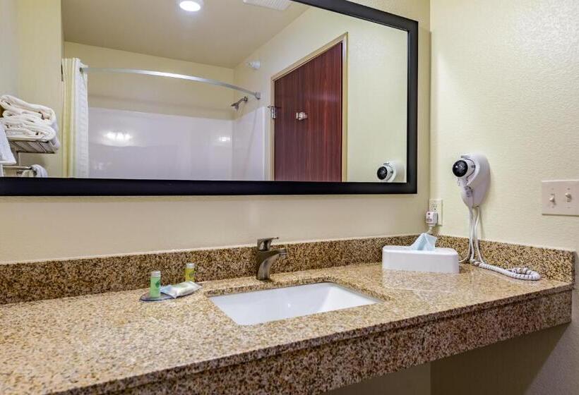 Студия Стандарт, Cobblestone Hotel & Suites   Hutchinson
