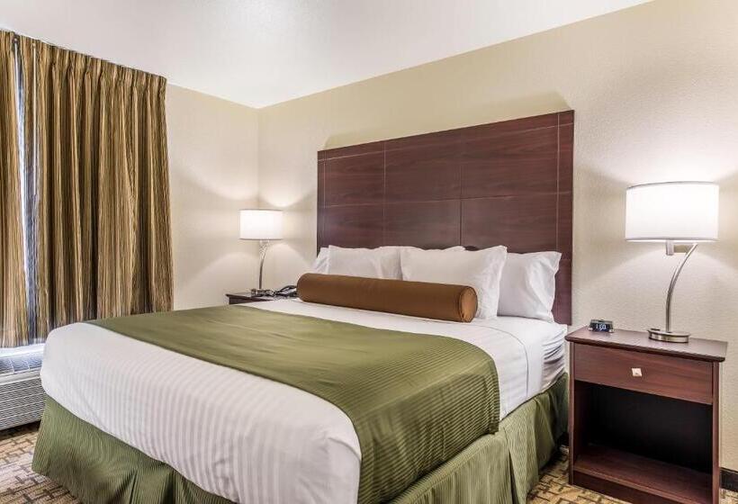 Номер Стандарт Кровать Кинг Адаптированный для Инвалидов, Cobblestone Hotel & Suites   Hutchinson