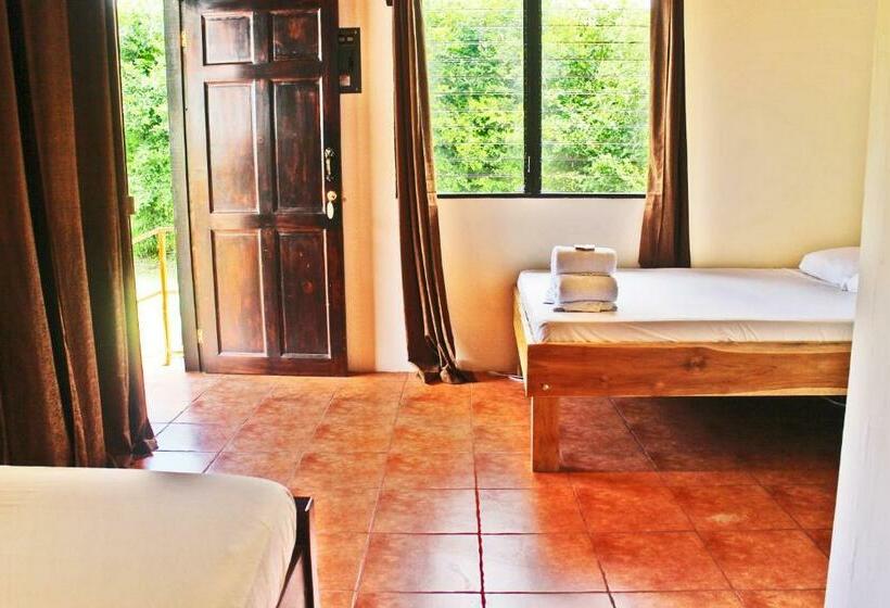 Студия Стандарт, Chill Inn Nosara