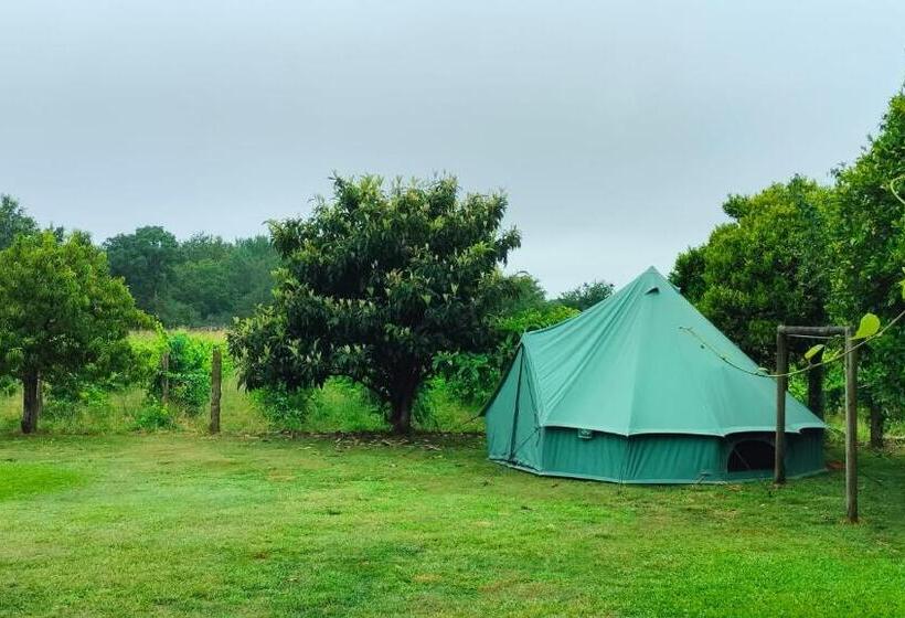 Standard Tent, Quinta Da Teimosa