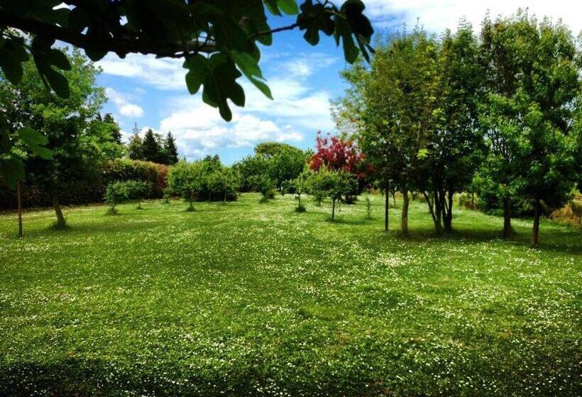 Номер Стандарт, Agriturismo Maloura
