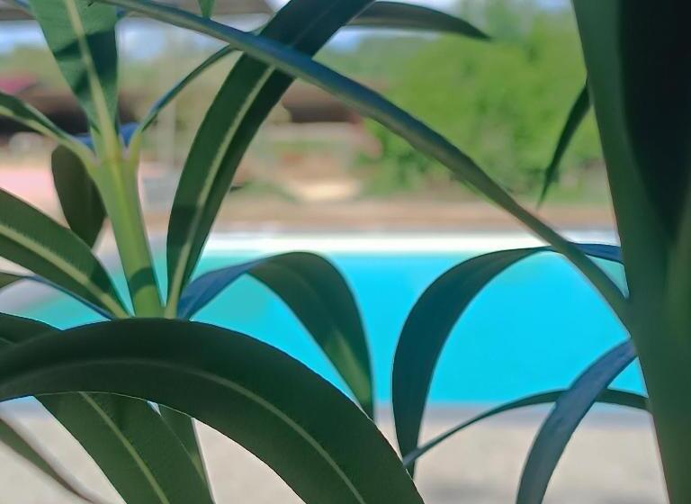Номер Стандарт, Biobagnolese Agriturismo
