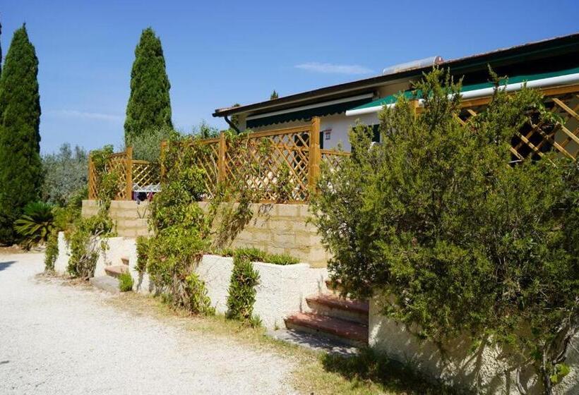 آپارتمان سوپریور 1 خوابه, Azienda Agricola Sapereta