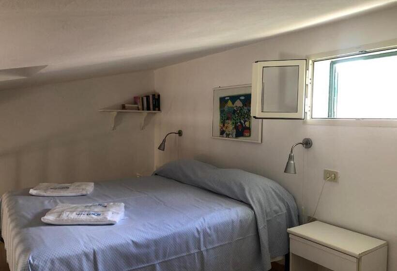 استودیوی استاندارد, Azienda Agricola Sapereta