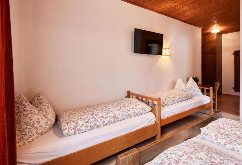 Трежместный Номер Economy, Ferienpension Zummüllerhof
