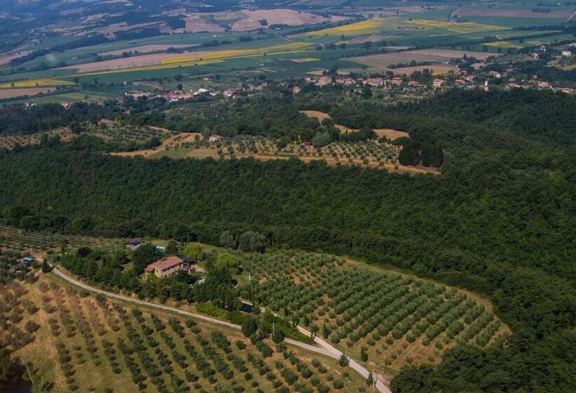 带1个卧室的公寓, Agriturismo Cornieto