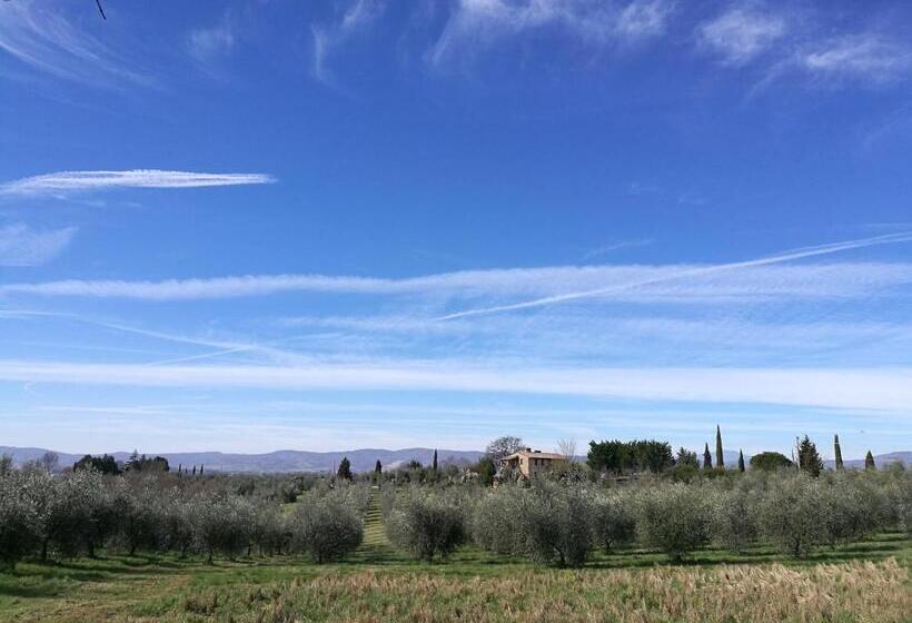 带1个卧室的高级公寓, Agriturismo Cornieto
