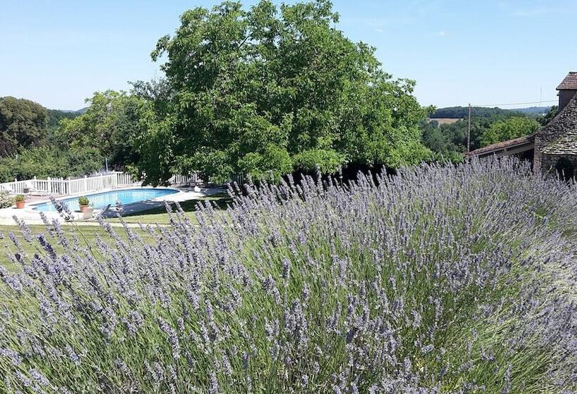Номер Стандарт с Террасой, Le Clos Lascazes Maison D Hôtes