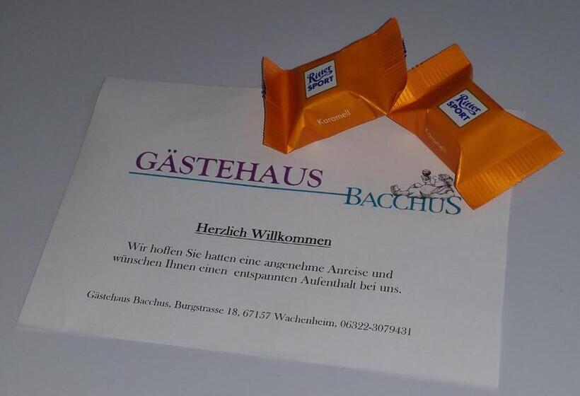 Номер Economy, Gästehaus Bacchus