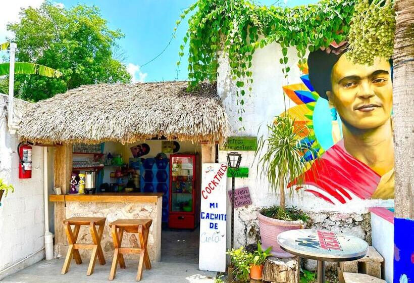 ルームシェアのワンベッド, Hostal Guacamayas