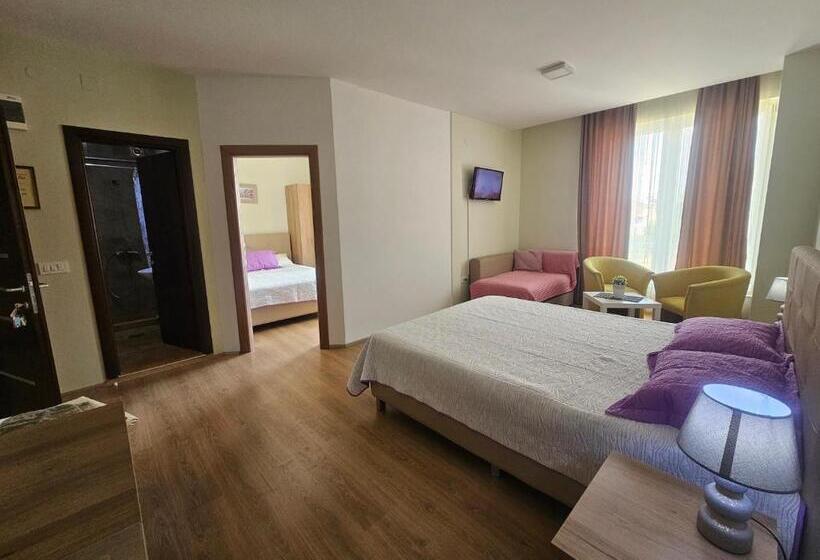 استودیو استاندارد با بالکن, Apartments Lotus