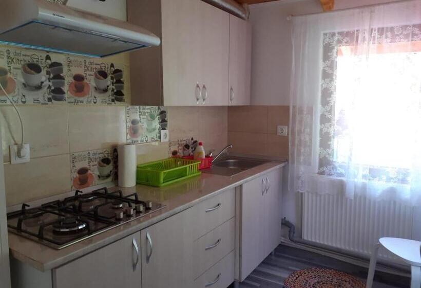 Апартаменты 1 Спальня Вид на Сад, Casa Maia Dambovicioara
