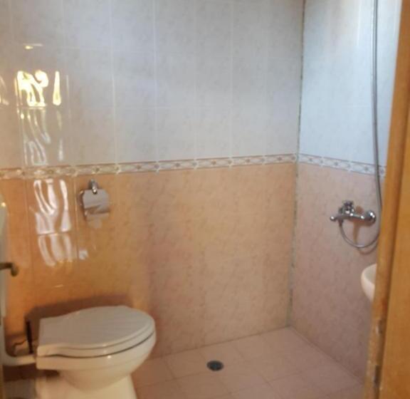 חדר לארבעה סטנדרטי עם נוף לגינה, Guest House Veselina