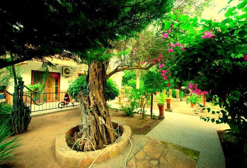 Номер Стандарт, Cemils Guest House