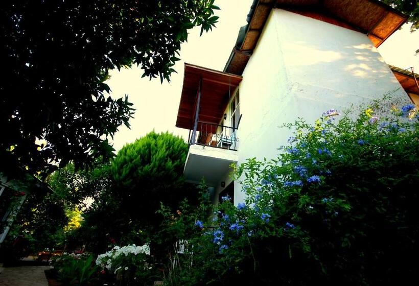 Номер Стандарт, Cemils Guest House