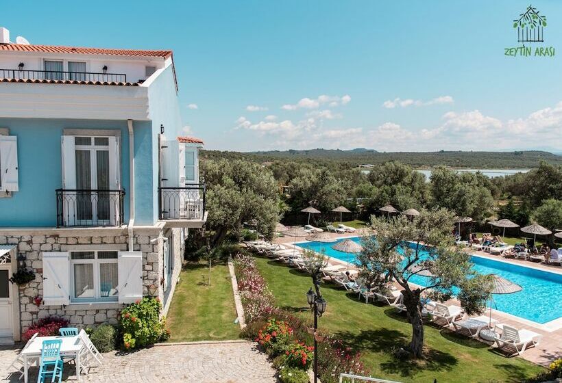 Апартаменты 1 Спальня, Zeytin Arası Apart Otel