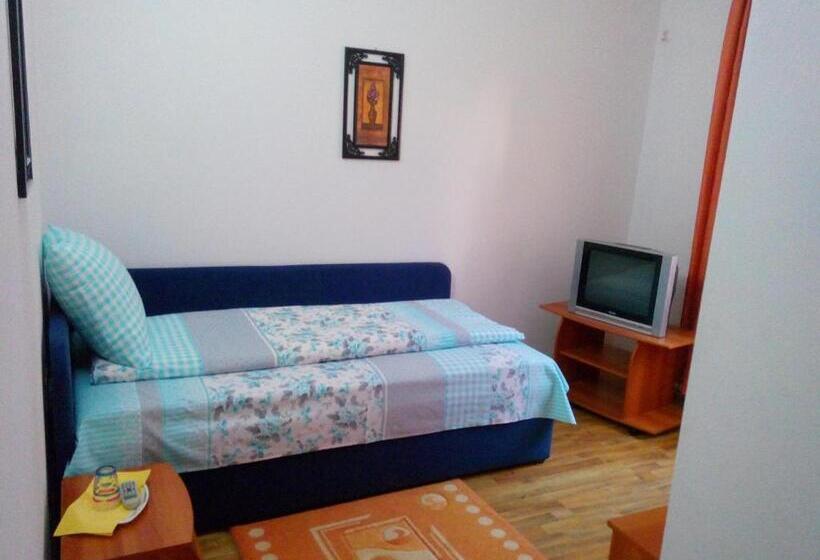 اتاق استاندارد یک نفره, Pensiunea Vladut Timisoara