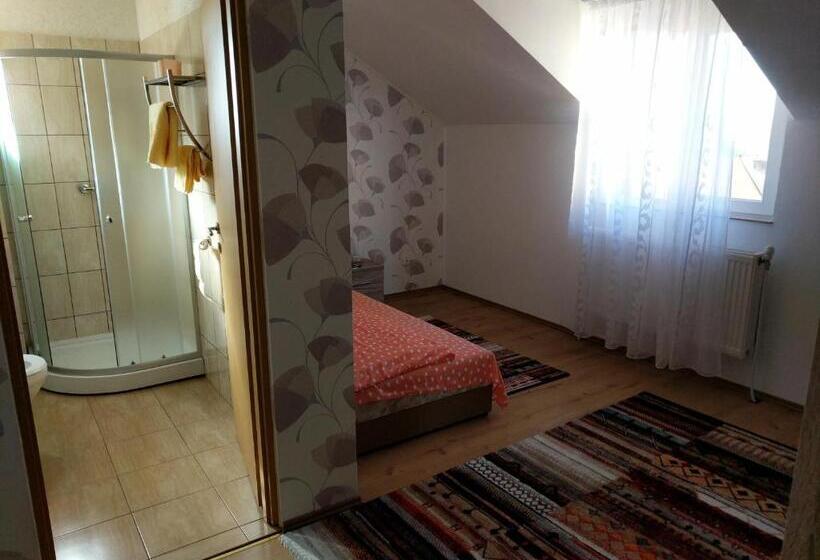 اتاق استاندارد یک نفره, Pensiunea Vladut Timisoara