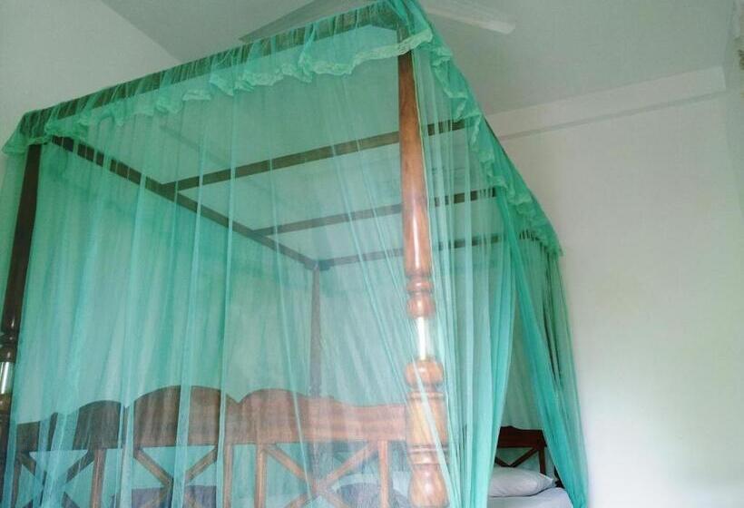 اتاق استاندارد, Rainbow Guest House