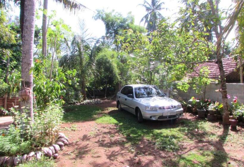 اتاق استاندارد, Rainbow Guest House