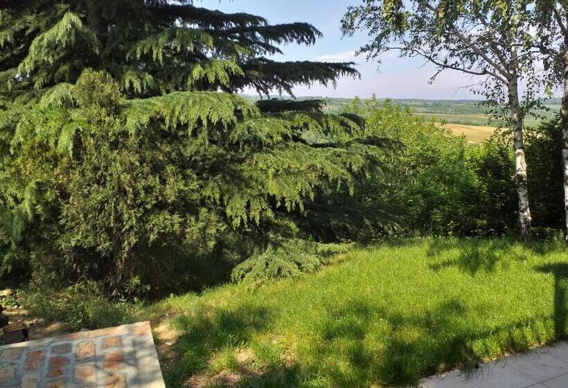 آپارتمان 1 خوابه با چشم‌انداز, Lodging Vidmar