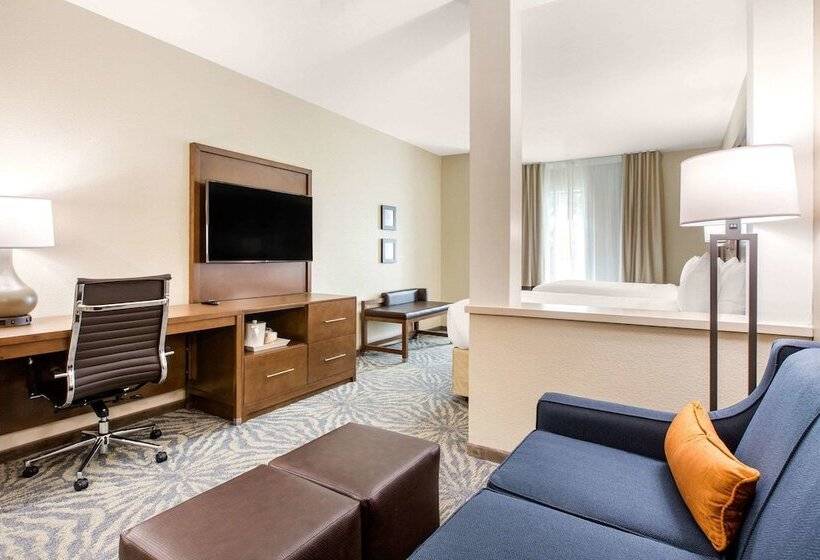 סוויטה מותאמת לאדם עם מוגבלויות, Comfort Suites  South Austin