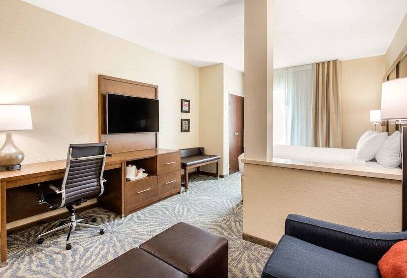 סוויטה, Comfort Suites  South Austin