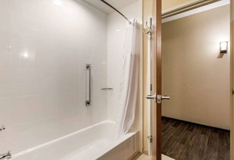 סוויטה, Comfort Suites  South Austin
