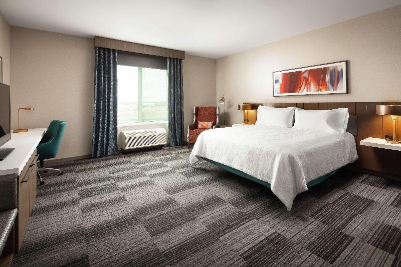 חדר סטנדרט עם מיטת קינג, Hilton Garden Inn Sacramento Airport Natomas