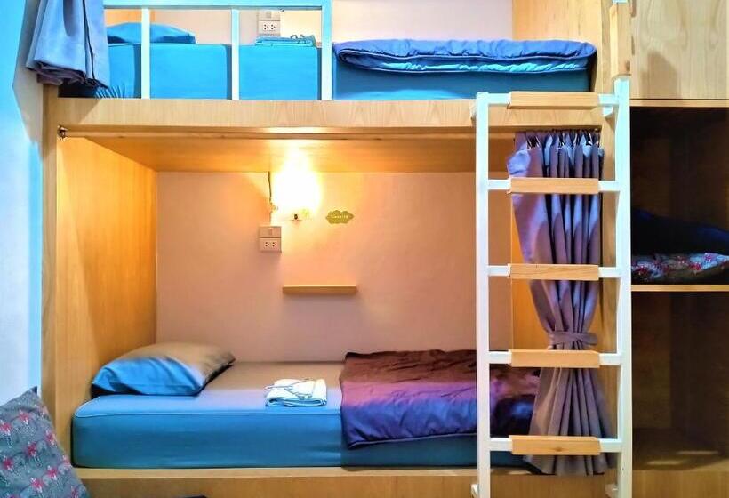 Студия Стандарт, Stay In Chiangrai