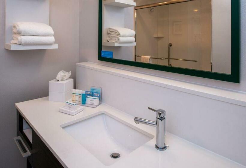 Стандартный Номер Кровать Кинг, Hampton Inn & Suites Winstonsalem Downtown